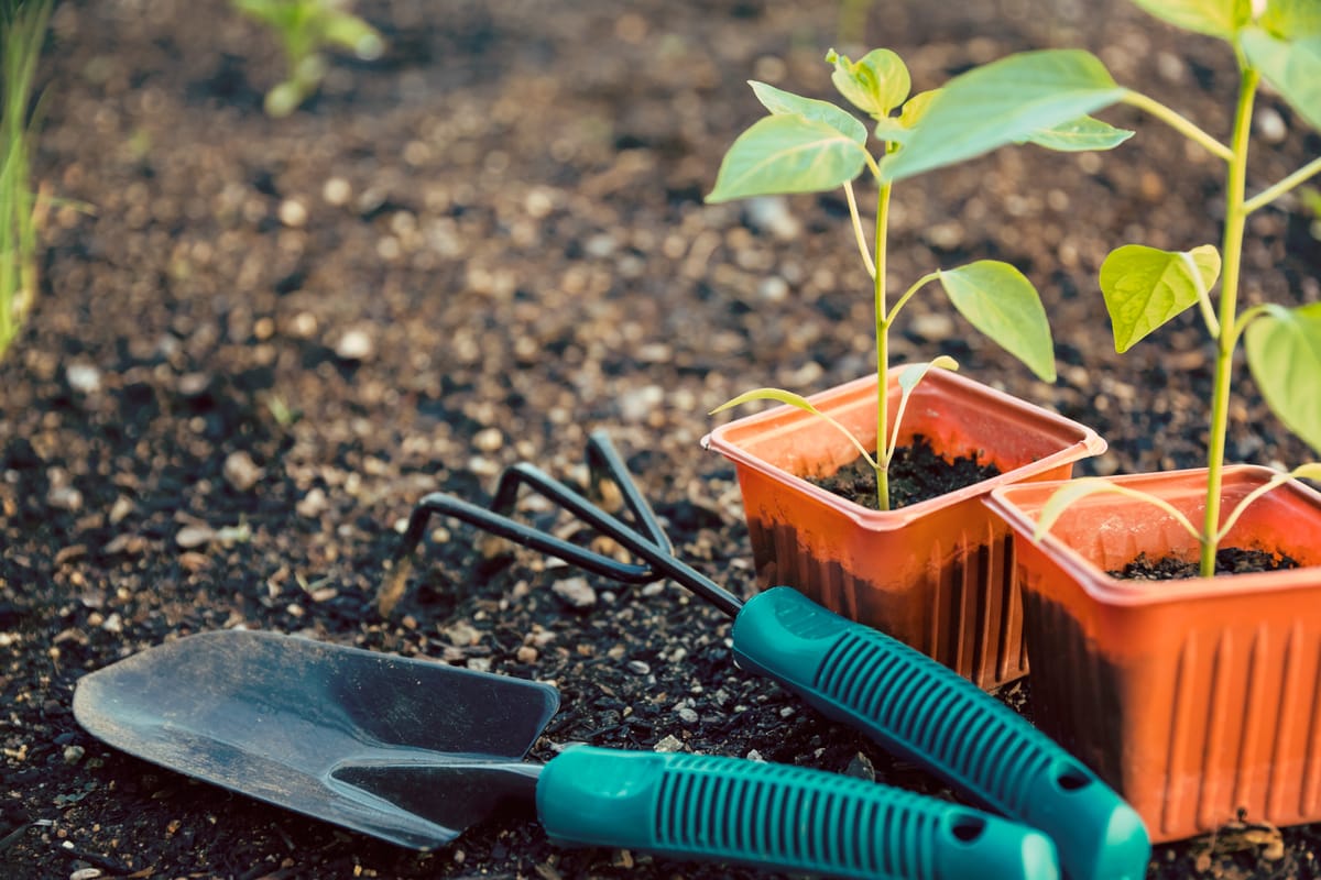 The ARK launches "Share the Harvest - Grow a Row" in midst of funding cuts