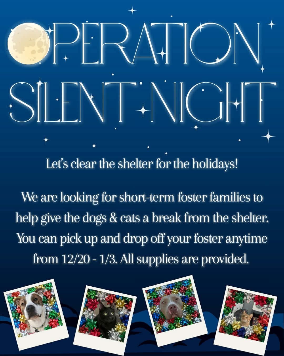 CCAC seeks 50 volunteers for ‘Operation Silent Night’ holiday shelter push