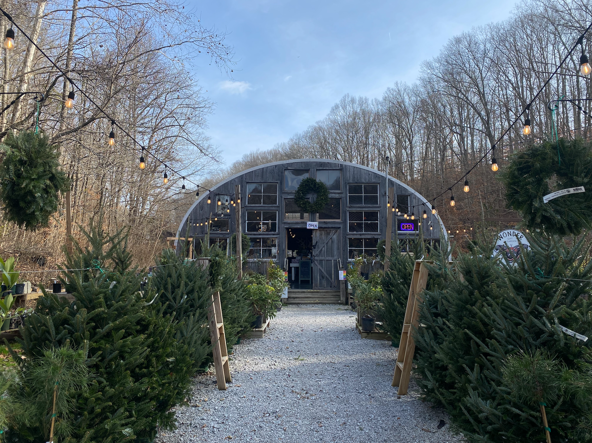 Kingston Springs families find holiday magic at Wonder Gift & Garden
