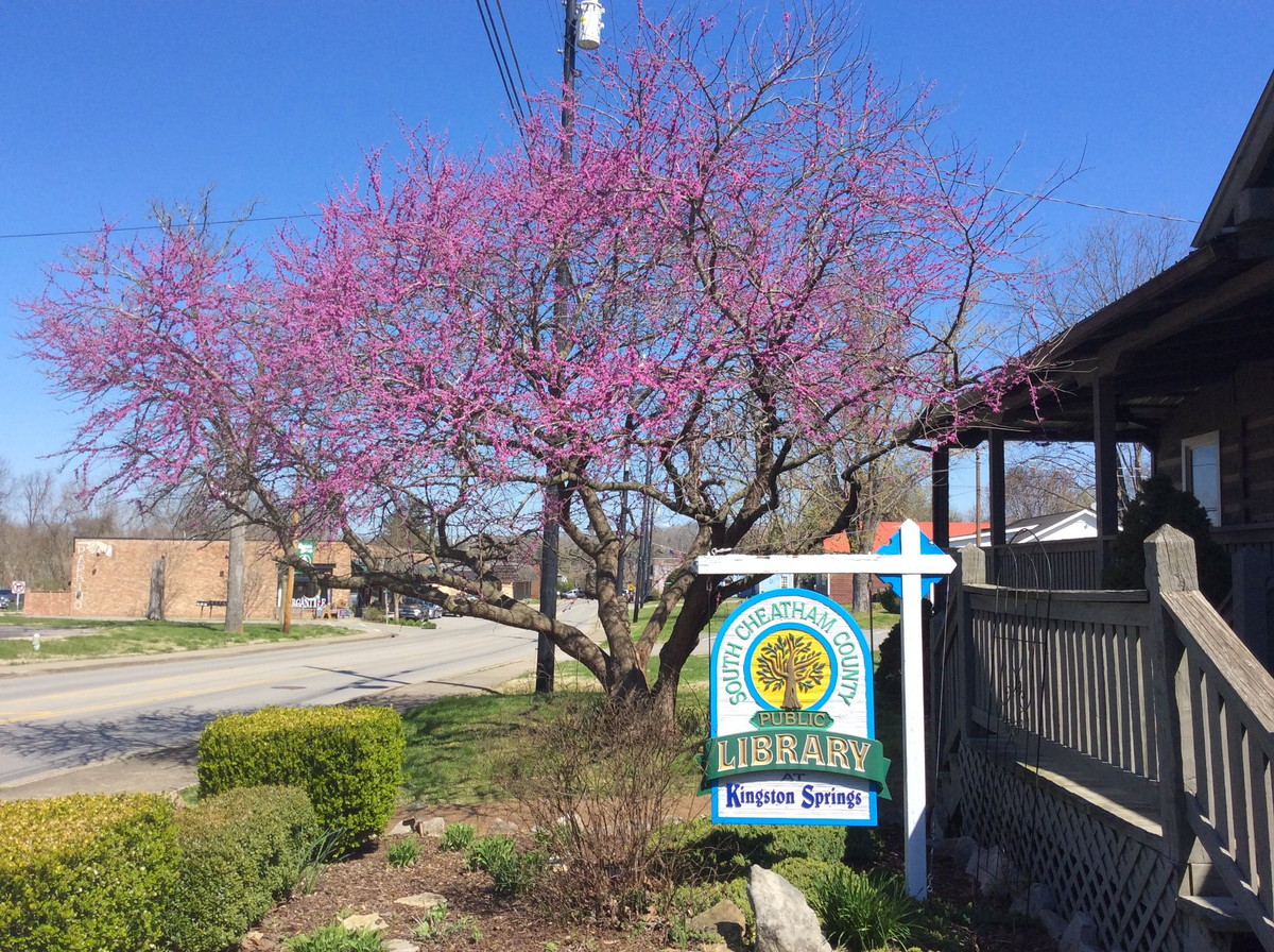 Kingston Springs library director highlights need for larger space