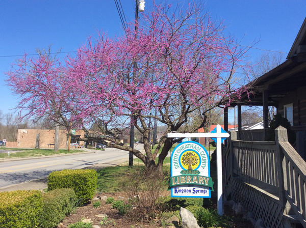 President, treasurer resign from South Cheatham County Friends of the Library