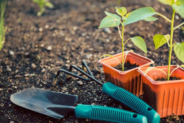 The ARK launches "Share the Harvest - Grow a Row" in midst of funding cuts