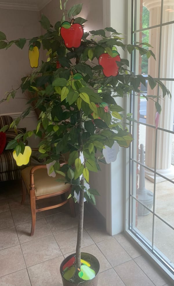 ‘Apple tree’ for teachers returns for second year